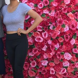 Meet your Posher, Dianne